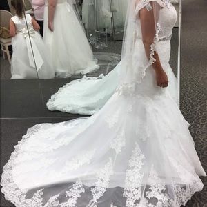 Brand new bridal gown (never worn), veil, shoes